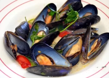 sauteed mussels 2711241 1920 scaled scaled