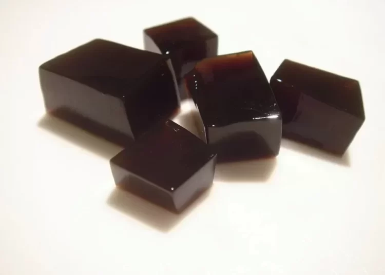 Resep Puding Cincau Santan Sehat