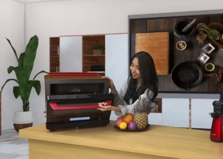 Healsio Superheated Steam Oven