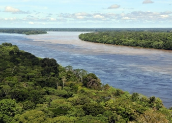 Amazon_CIAT_2