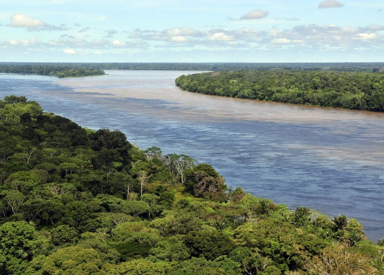 Brazil: Deforestation of Amazon Reduce by More than 30 Percent 1 Amazon_CIAT_2