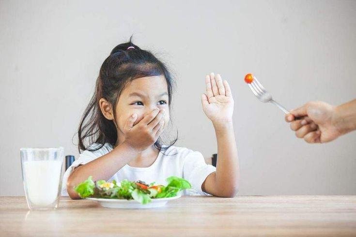Picky Eater Penyebab Kurangnya Gizi Pada Anak Usia Dini 1 Picky Eater Penyebab Kurangnya Gizi Pada Anak Usia Dini