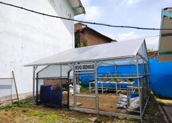 Orchid Greenhouse SMP Negeri 1 Karangploso