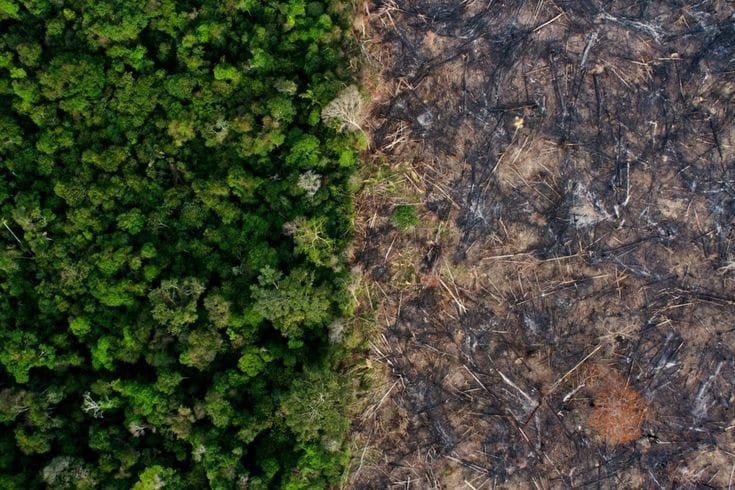 Alih Fungsi Hutan ke Perumahan: Analisis Dampak Lingkungan di Daerah Langkat, Sumatera Utara 1 Alih Fungsi Hutan