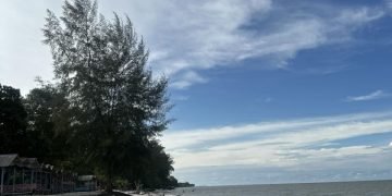 IMG 5080 e1734704630925