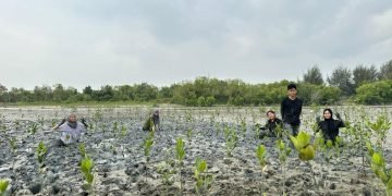Degradasi dan Deforestrasi