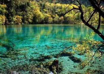 kota untuk liburan nataru