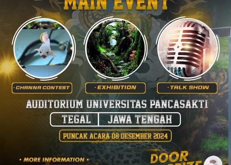 Aqua Culture Festival