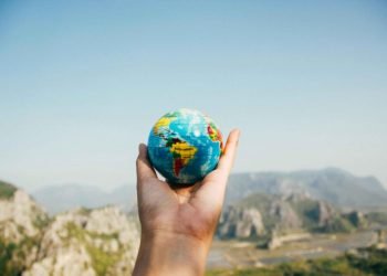 Sumber Gambar : paxels.com