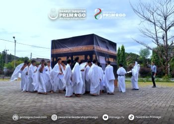 WhatsApp Image 2024 12 20 at 14.02.09 6dcd7a84