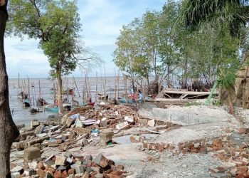 WhatsAppImage2024 12 19at20.23.26 e54945291