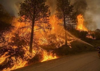 a01823e68335629d401c9eeca3a8bdb6