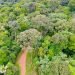hutan hujan tropis di kosta rika 2