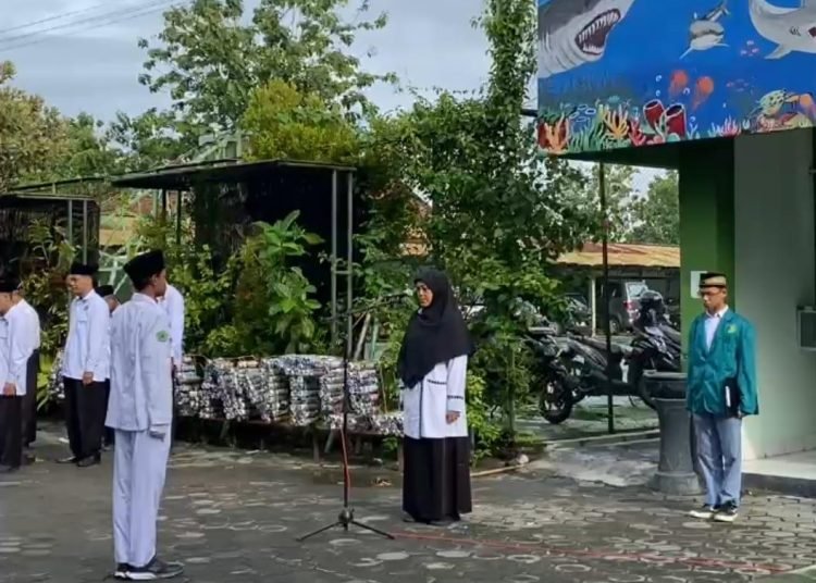 WhatsApp Image 2025 01 14 at 20.39.02