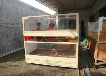 WhatsApp Image 2025 01 18 at 19.18.25