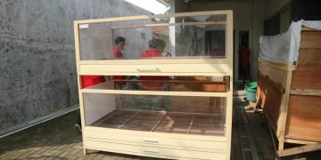 WhatsApp Image 2025 01 18 at 19.18.25