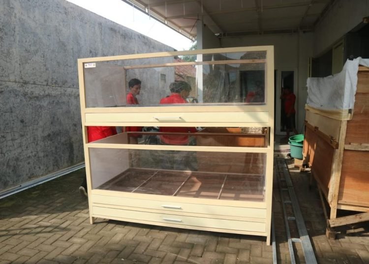 WhatsApp Image 2025 01 18 at 19.18.25