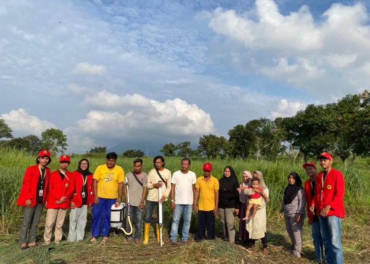 WhatsApp Image 2025 01 19 at 15.23.39 1 min