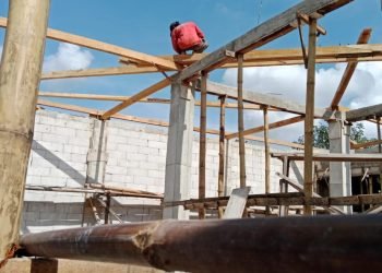 WhatsApp Image 2025 01 25 at 10.23.27