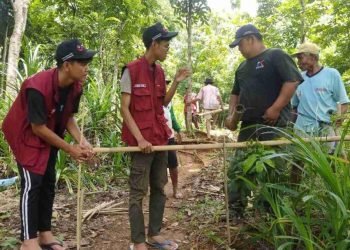 WhatsApp Image 2025 01 27 at 22.36.22 fb5fa551