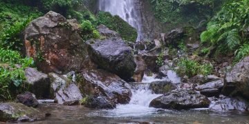 enchanting saderi waterfall is located bogor west java indonesia 579764 2622