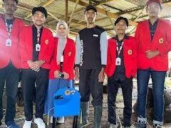 kkn media masa