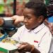 Program Makan Bergizi Gratis