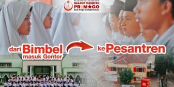 1eef393c 37f7 4169 9b67 154eb7b559ca