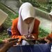 IMG 20250215 WA0077