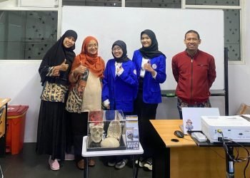 Segmentasi Otomatis Data Dicom Pembuluh Darah Vena Dan Arteri Pada Otak 2 980x784 1