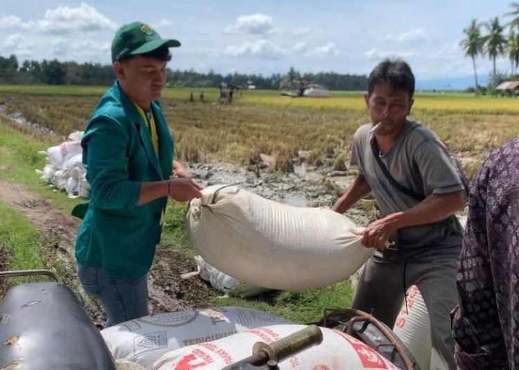 Dok. Mahasiswa KKN PPM Universitas Malikussaleh Gampong Paya Bateung