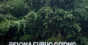 WhatsApp Image 2025 02 06 at 23.13.05 82bee94e 350x350 1