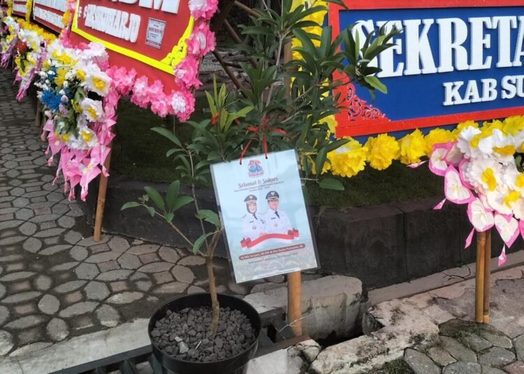 WhatsApp Image 2025 02 20 at 06.14.41