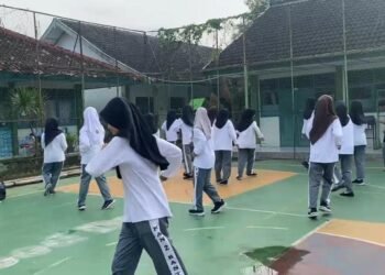 WhatsApp Image 2025 02 20 at 09.08.31