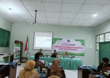 WhatsApp Image 2025 02 20 at 12.45.37