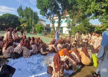 WhatsApp Image 2025 02 21 at 08.44.50