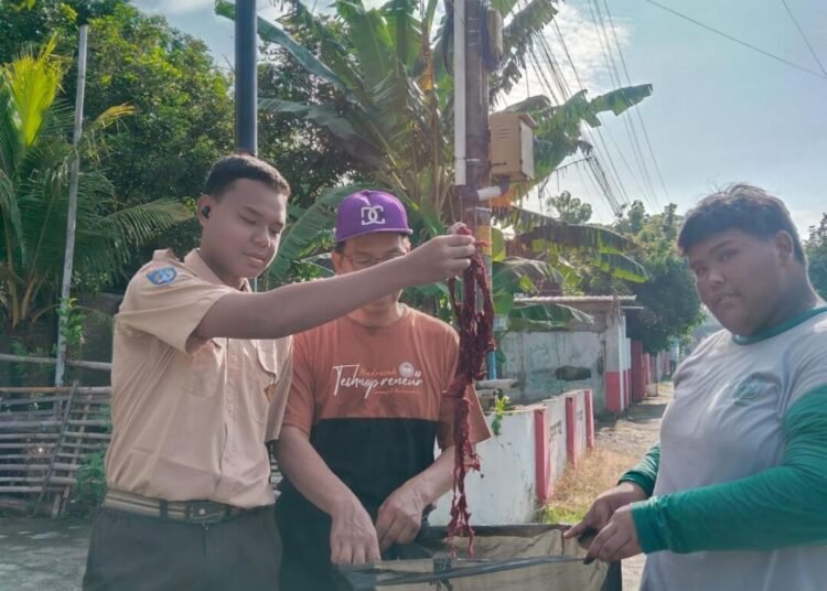 Aksi Bersih Sampah dalam Jalan Sehat MAN 2 Bantul dalam Peringatan HPSN 2025 1 WhatsApp Image 2025 02 22 at 21.23.19