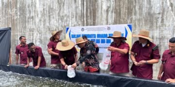 WhatsApp Image 2025 02 23 at 01.23.39