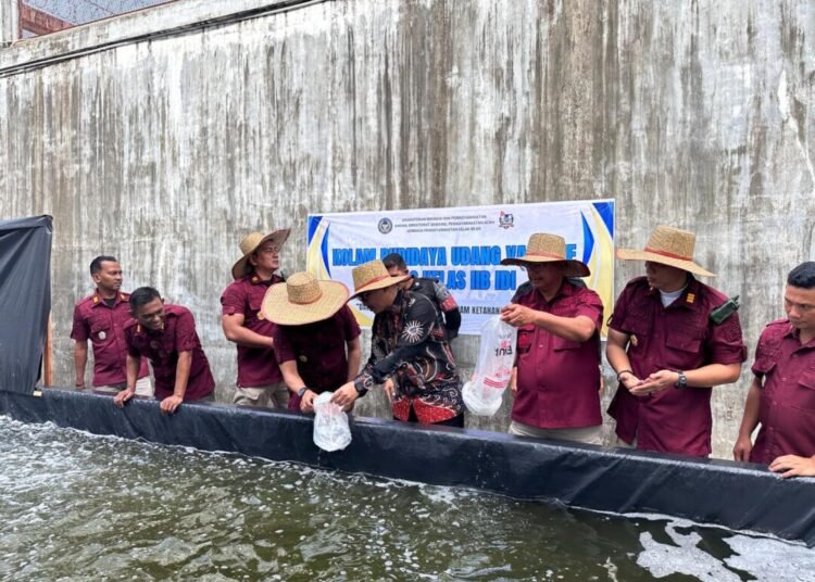 Monev Ke Lapas Idi, Kakanwil Ditjenpas Aceh Lepaskan Benih Udang Vaname 1 WhatsApp Image 2025 02 23 at 01.23.39