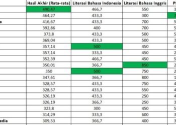 WhatsApp Image 2025 02 24 at 12.31.54