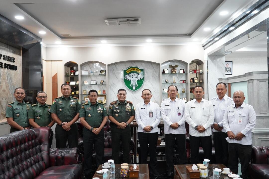 WhatsApp Image 2025 02 26 at 16.13.43