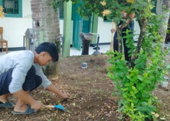 WhatsApp Image 2025 02 27 at 07.11.33