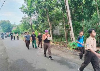 img 20250208 wa0011 67a82588c925c46a554a9722