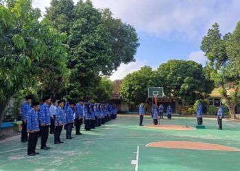 IMG 20250301 WA0080 1