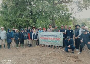 Target Swasembada Jagung dan Pentingnya Komitmen Otoritas bagi Kemajuan Pertanian 1 Komitmen otoritas yang diselenggarakan pemerintah pusat di bidang pertanian dan ketahanan pangan sudah selayaknya didukung oleh pemerintah Tingkat Provinsi, Kabupaten/Kota dan Kecamatan agar tujuan ketahanan pangan dapat tercapai, yaitu terwujudnya kedaulatan pangan, terpenuhinya kebutuhan pangan, terjaganya Kesehatan Masyarakat dan terwujudnya Masyarakat yang mandiri dan berdaulat.