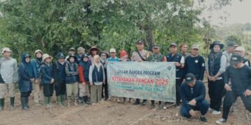 Komitmen otoritas yang diselenggarakan pemerintah pusat di bidang pertanian dan ketahanan pangan sudah selayaknya didukung oleh pemerintah Tingkat Provinsi, Kabupaten/Kota dan Kecamatan agar tujuan ketahanan pangan dapat tercapai, yaitu terwujudnya kedaulatan pangan, terpenuhinya kebutuhan pangan, terjaganya Kesehatan Masyarakat dan terwujudnya Masyarakat yang mandiri dan berdaulat.