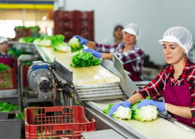 Pekerja Perempuan Berhak Aman: Mengapa Tempat Kerja Masih Penuh Ancaman? 1 Ilustrasi Buruh Pabrik 1