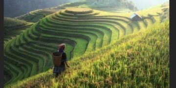 Pemenuhan kebutuhan dasar atas pangan harus memberi manfaat secara adil, dan merata sesuai kedaulatan pangan, kemandirian pangan dan ketahanan pangan. Akses untuk memperoleh pangan merupakan hak asasi manusia. Pangan menjadi penting karena menyangkut permasalahan politik, ekonomi, sosial dan budaya.