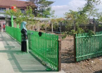 WhatsApp Image 2025 02 27 at 07.11.34 1