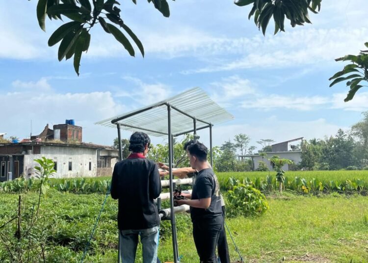 Pemberdayaan Hidroponik